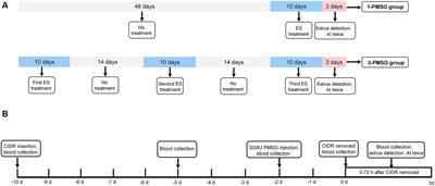 Influence of repeated estrus synchronization treatment on hormone secretion, growth, and development of dairy goats